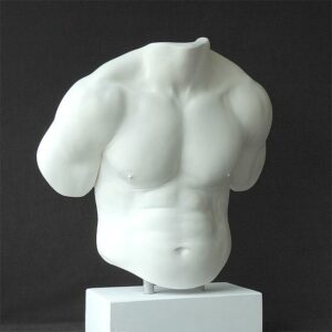 getrainde torso afdruk met mooie contour